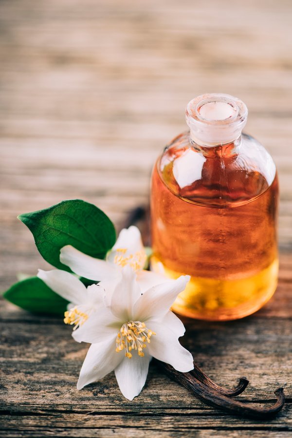 Explorez les incontournables des produits bio pour un avenir durable